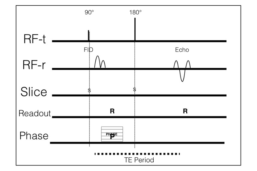 <p>Phase gradient diagram?</p>