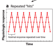 <ul><li><p><span>occurs when a person faces multiple, closely-spaced stressors</span></p></li><li><p><span>The body never has enough time to fully recover between events, leading to a constant state of high physiological arousal</span></p></li></ul><p></p>