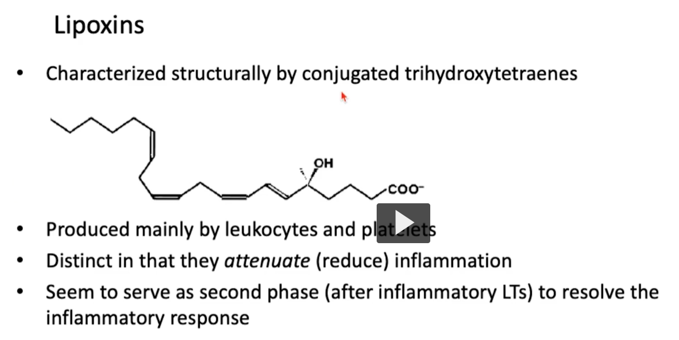 <p><strong>Lipoxins</strong></p><p>• Characterized structurally by conjugated trihydroxytetraenes (picture here)</p><p>• Produced mainly by both leukocytes and platelets</p><p>• Distinct from all the previous molecules we discussed because these help <em>attenuate</em> (reduce) inflammation</p><p>• Seem to serve as second phase (after inflammatory LTs) to resolve the inflammatory response</p>