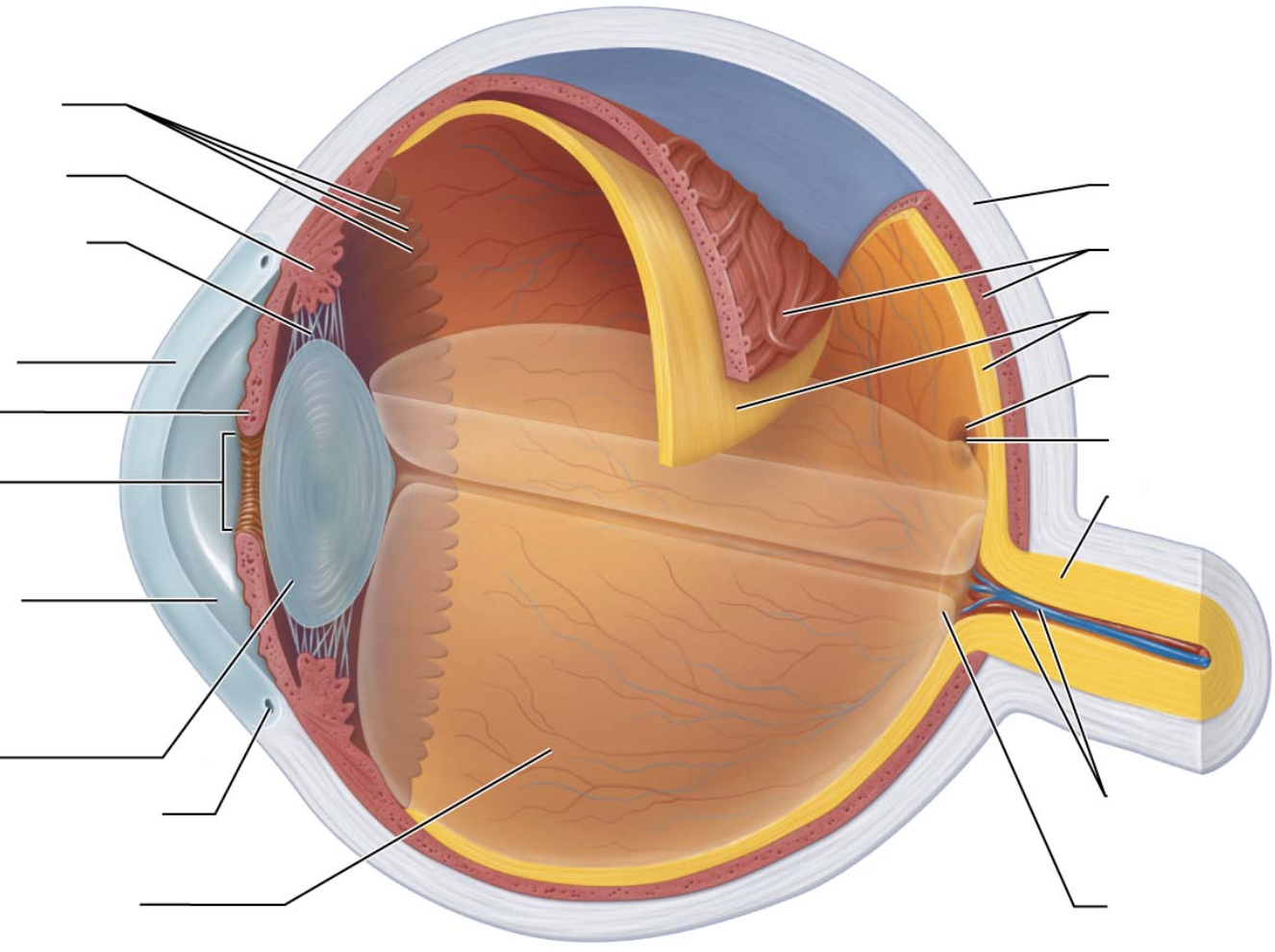 <p>seventh arrow on left</p>