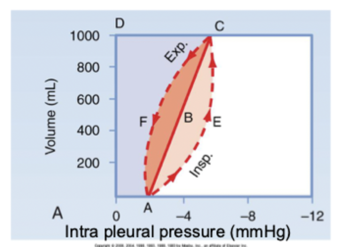 <p>a pressure-volume loop</p><p>intrapleural pressure VS. lung volume</p><p>loop is representative of one full breath in AND out and work is shown as AREAS on the graph </p>