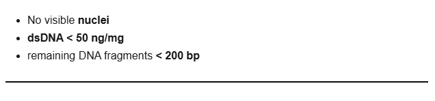 <p>No visible nuclei</p>