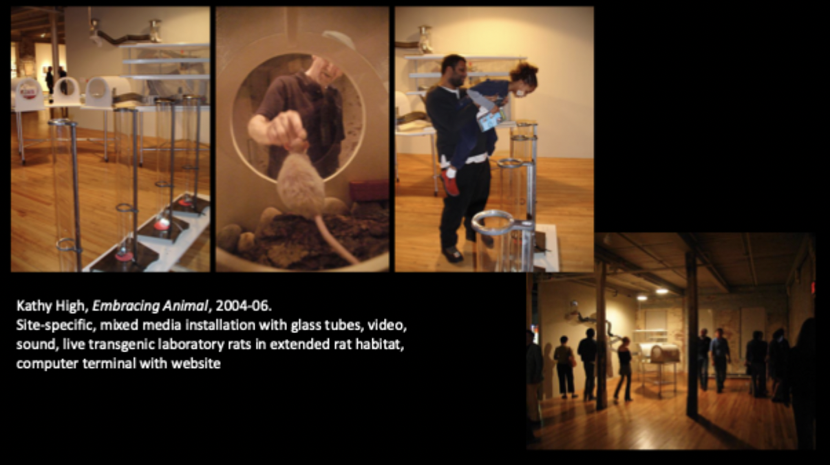 <p>Kathy High, Embracing Animal, 2004-2006.</p>