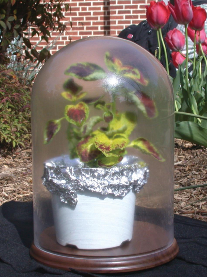 <p>How can water vapor be demonstrated? </p>