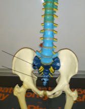 <p>What is this (pale blue region)?</p>