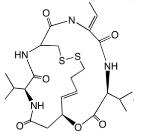 <p>HDAC inhibitor (prodrug - disulfide bond needs reduction)</p>