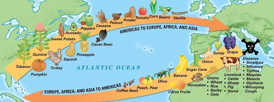 <p><br><br></p><p><span style="background-color: transparent; font-family: "Times New Roman", serif;">What was the Columbian Exchange?</span></p>