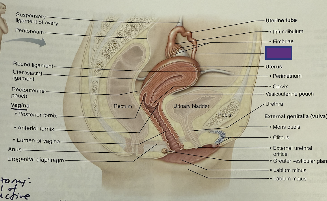<p>What is this and its function?</p>
