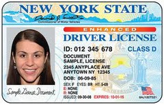 <p>driver's license</p>