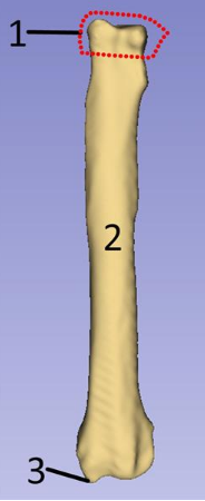 <p>What is 2?</p>