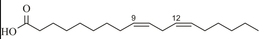 <p>fatty acid (sat/unsat)</p>