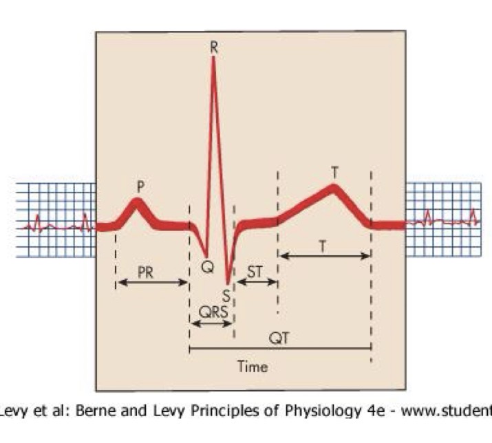 <p>P, Q, R, S, T</p>