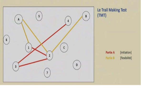 <ul><li><p>recherche de l’initiation</p></li><li><p>On demande aux patients de relier les chiffres entre eux avec une suite logique</p><ul><li><p>En premier les chiffres entre eux puis ensuite dans l’ordre de l’alphabet</p></li></ul></li><li><p>Le patient doit trouver la Juju tout seul, il faut initie l’activité</p></li><li><p>Ensuite on va faire pareil en lui demandant d’être flexible : relier chiffre et lettre</p></li></ul><p></p>