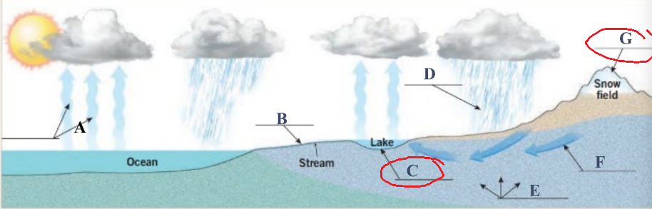 <p>Storage of water that occurs on the land surface</p>