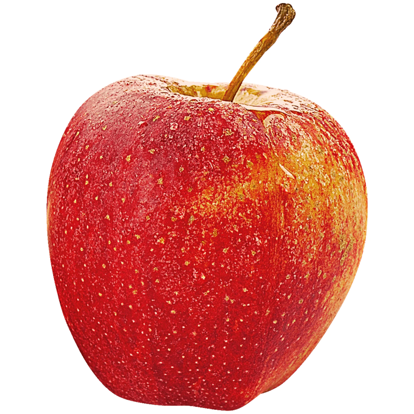 <p></p>
