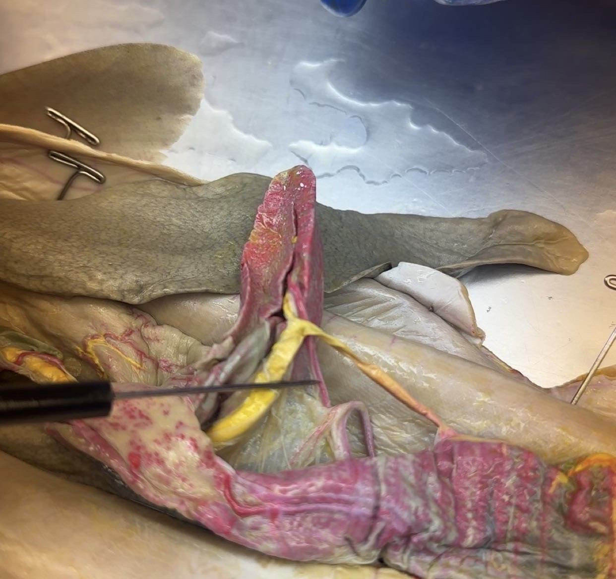 <p>what is this?</p>