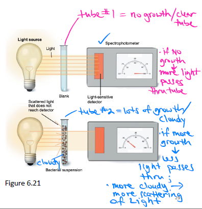 <p>Measures cloudiness with a spectrophotometer. </p><ul><li><p>No growth = clear tube, more light passes through. </p></li><li><p>More growth = cloudy, more light scattered, less light passes through.</p></li></ul><p></p>