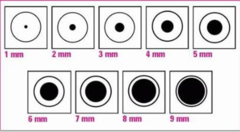 <p>Airway: Assess movement of air/ obstruction</p><p>Disability: Examine pupillary response (are they equal? are they reactive?)</p>