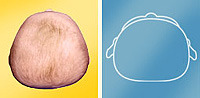 <p>- Flat</p>