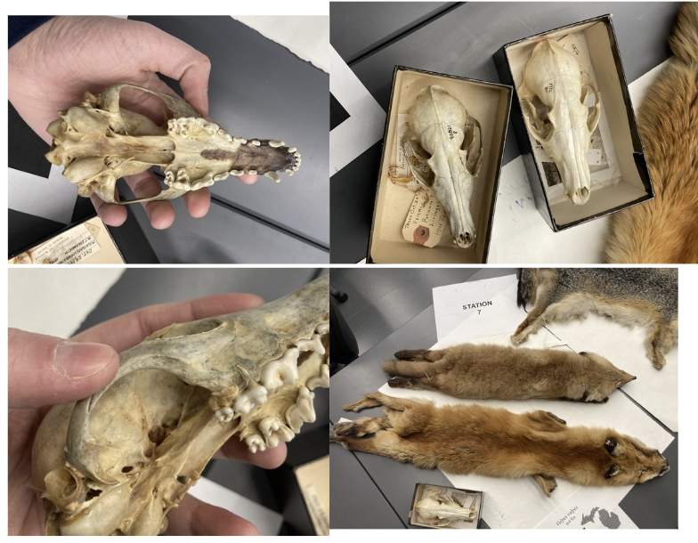 <p>What is this?</p>