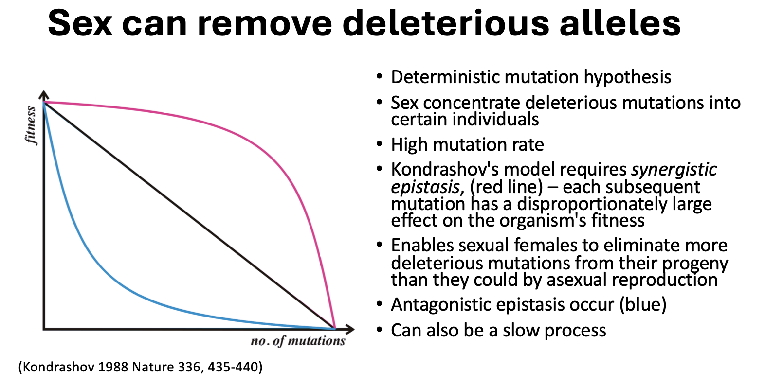 <p>a way for sex to remove deleterious alleles</p><ul><li><p>sex concentrate deleterious mutations into certain individuals</p></li><li><p>requires a high mutation rate</p></li><li><p>mutations = negative effect on fitness </p><ul><li><p>synergistic epistasis: mutation has disproportionately <strong>large</strong> effect</p></li><li><p>agnostic epistasis: mutation has disproportionately <strong>small</strong> effect</p></li></ul></li><li><p>enables sexual females to eliminate more deleterious mutations from their progeny than they could by asexual reproduction</p></li><li><p>slow process</p></li></ul><p></p>