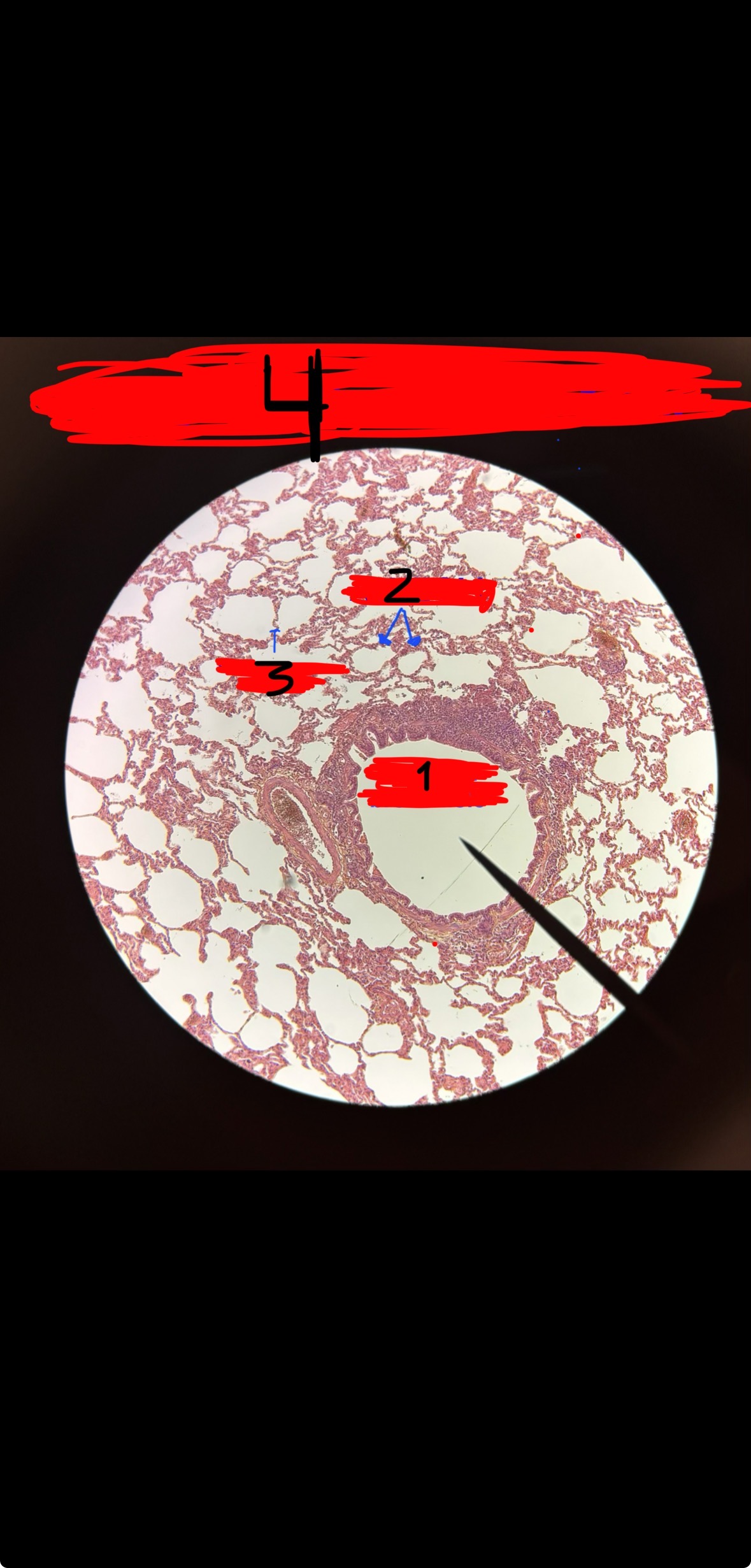 <p>What is 1?</p>