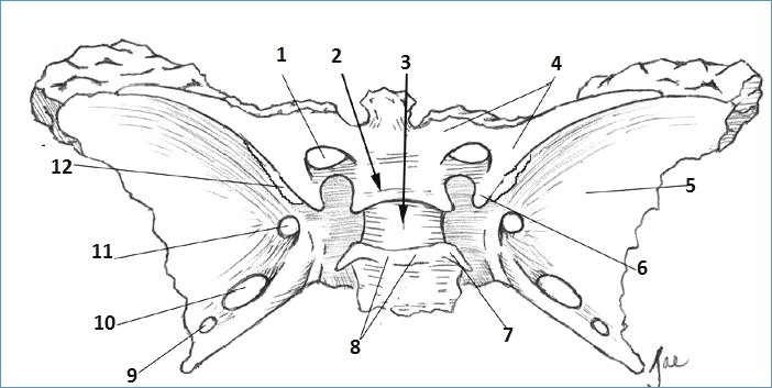 <p>Label 1</p>