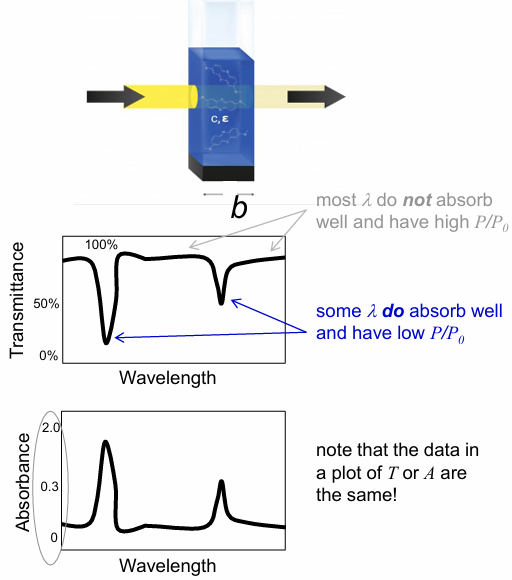 <ul><li><p>high T means most of the light passes through, which means low A</p></li><li><p>low T (P/P0) means little light passes through, which means high A</p></li></ul><p></p>