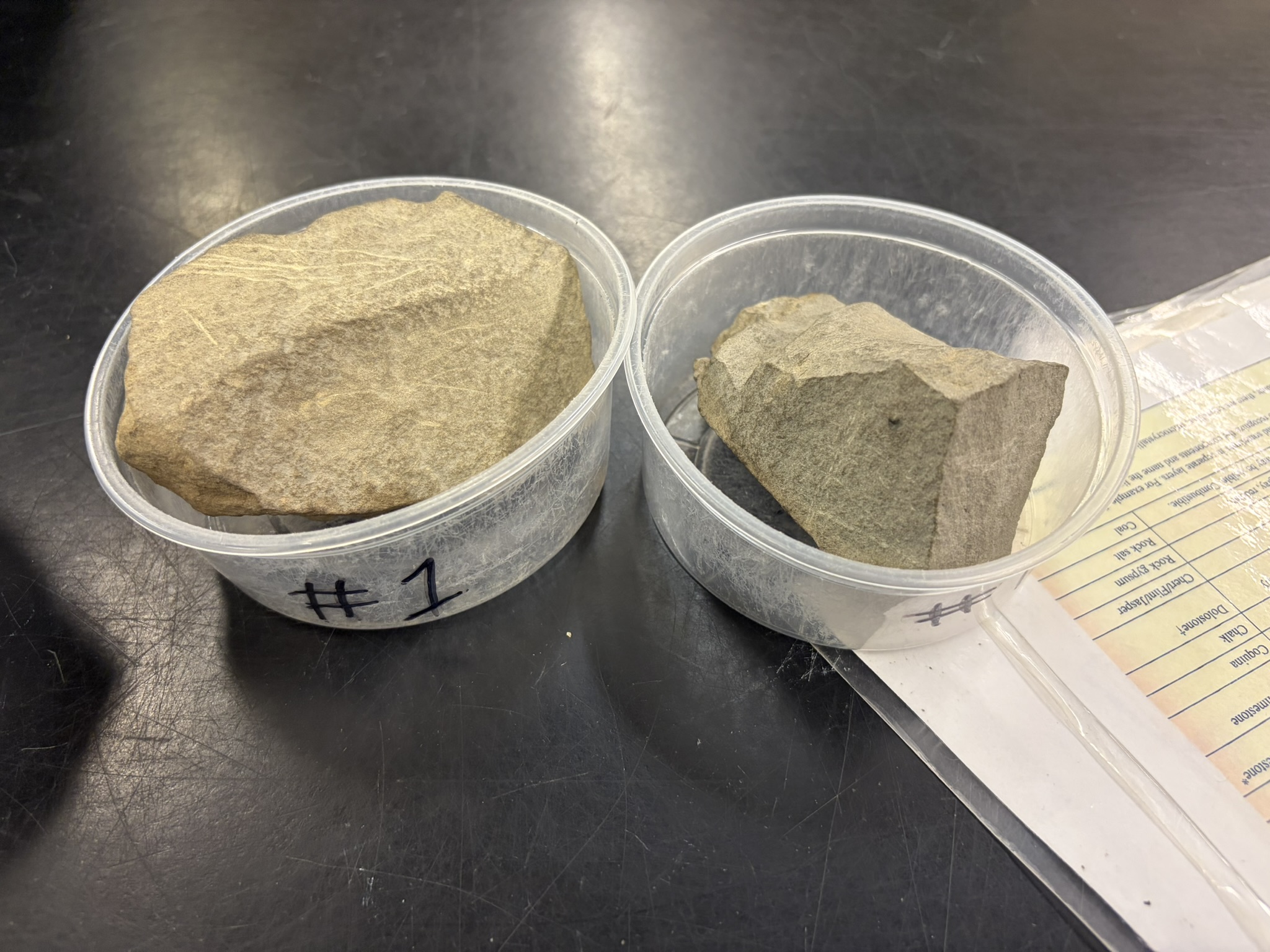 <p>Detrital<br>Clastic<br>Marine shelf<br>Low energy</p>