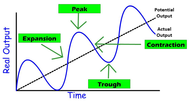 <ul><li><p>shows the rise and fall of <strong>real Gross Domestic Product (GDP)</strong> over time.</p><ol><li><p>Expansion</p></li><li><p>Peak</p></li><li><p>Contraction</p></li><li><p>Trough</p></li></ol></li><li><p>affect:</p><ul><li><p>Employment</p></li><li><p>Consumer spending</p></li><li><p>Business investment</p></li><li><p>Wages</p></li><li><p>Inflation</p></li></ul></li></ul><p></p>