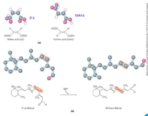 <p>_________: requiring specific conformations in the interaction molcules </p>