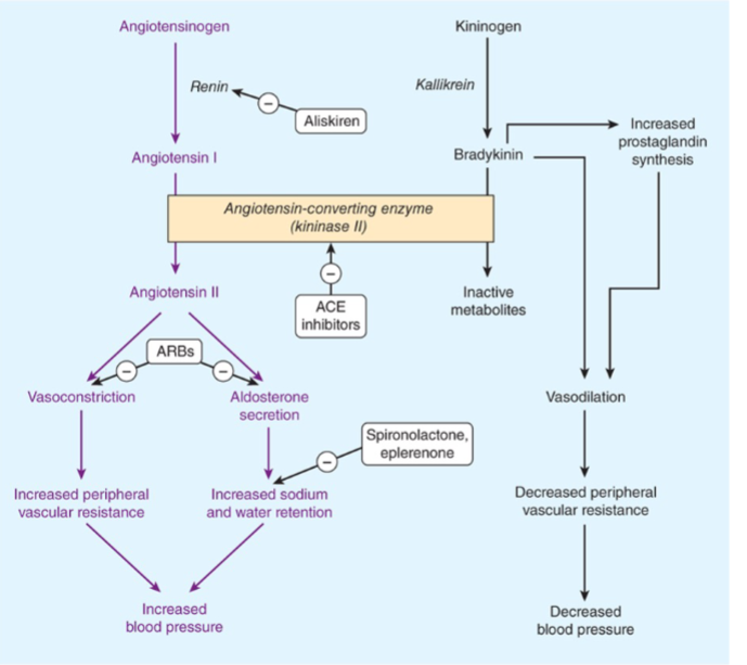 <p>they block the AT1 receptor of Ang II</p>