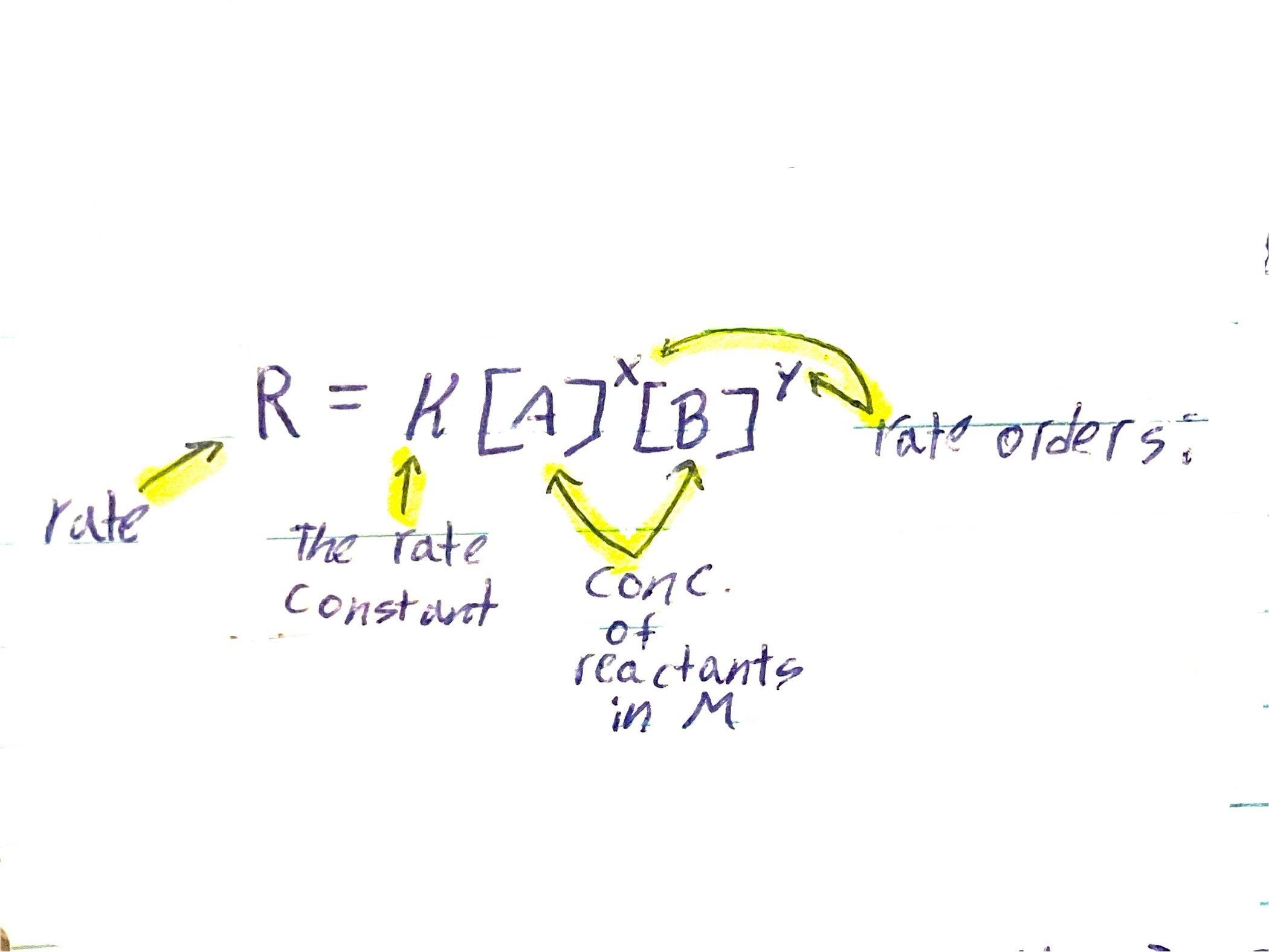 <p>Rate equation meaning</p><p></p>
