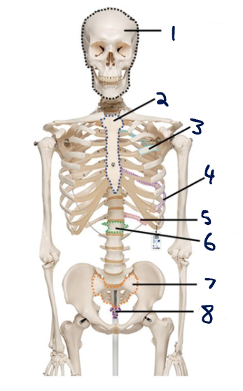 <p>5</p>