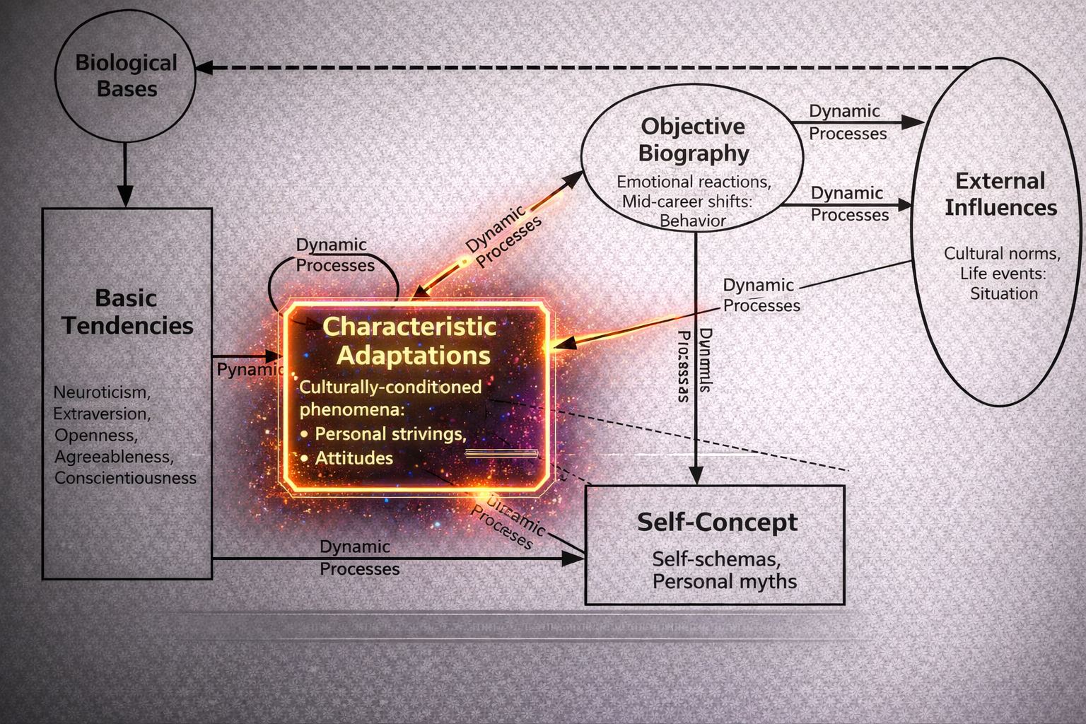 <p>Things that adapt with life, such as our attitudes and relationships. We call them adaptations because they can be learned and changed </p><p>E.g. being able to speak French or being good in statistics. They are characteristic adaptations because they can change and be learned.</p><p></p>
