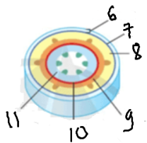 <p>Chú thích 6 - 10 </p>