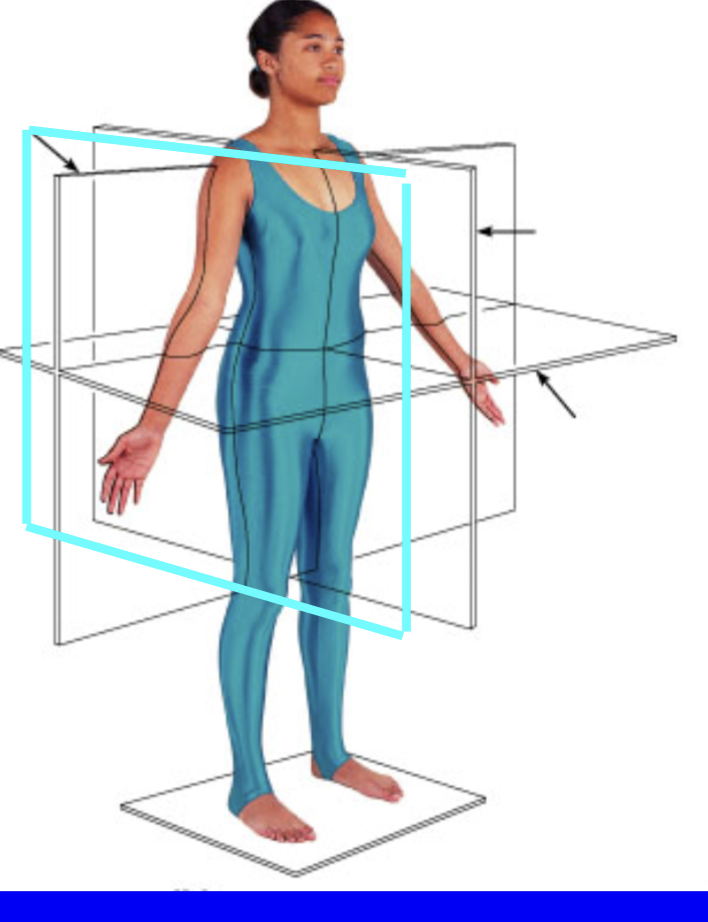 <p>divides the body into right and left section</p><p>midsagittal: directly in middle</p><p>parasagittal: not directly in middle</p><p></p><p></p>