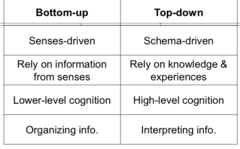 <p>Constructing perceptions based on our experiences and expectations</p>