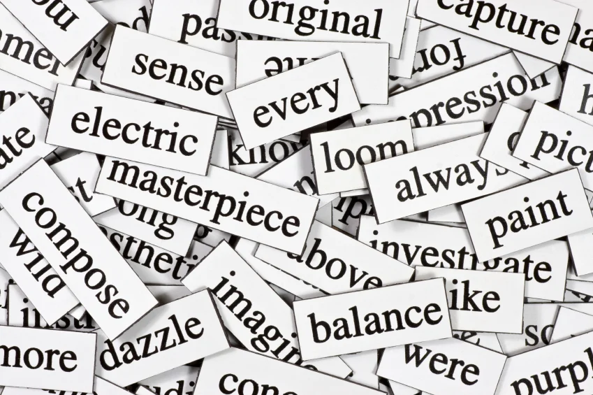<p>word or language</p>