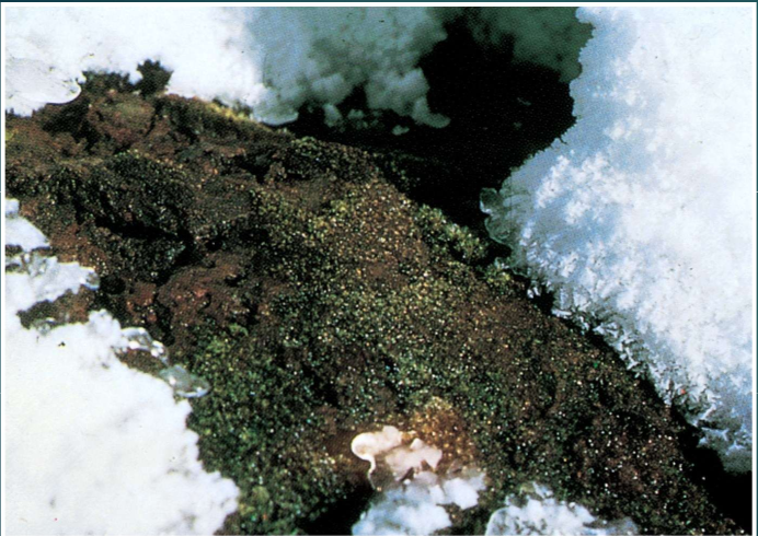 <p>example of what </p>