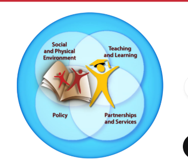 <p>- Using all 4 components when</p><p>planning initiatives</p>