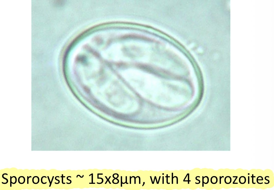 <p>What is this?</p>