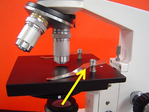<p>What part of the Microscope is this?</p>