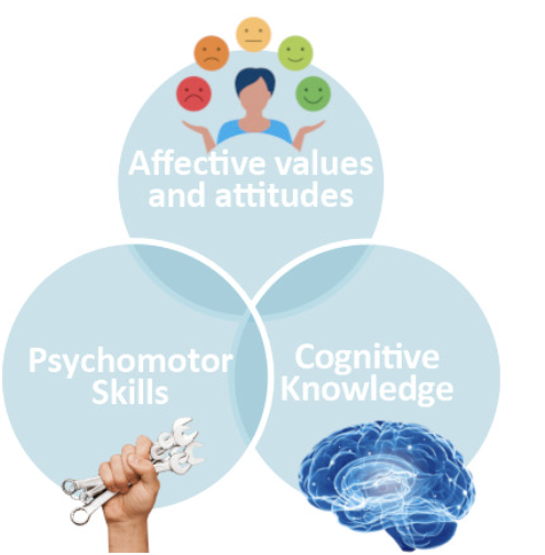 <p>learning process domains </p>