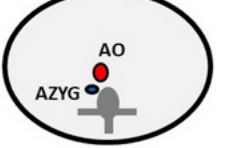 <p>what situs is this </p>