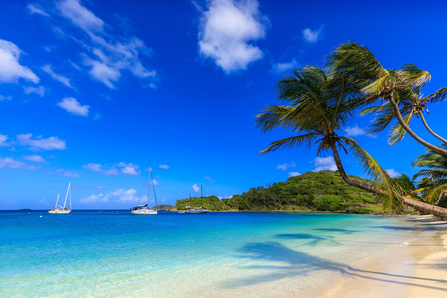 <p>sea</p>
