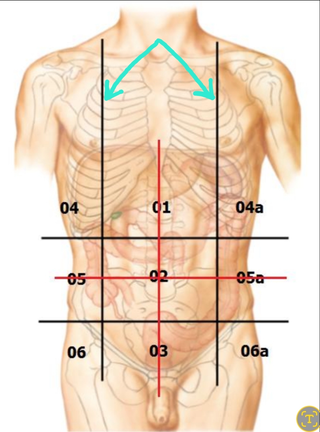 <p>Qual é o nome?</p>