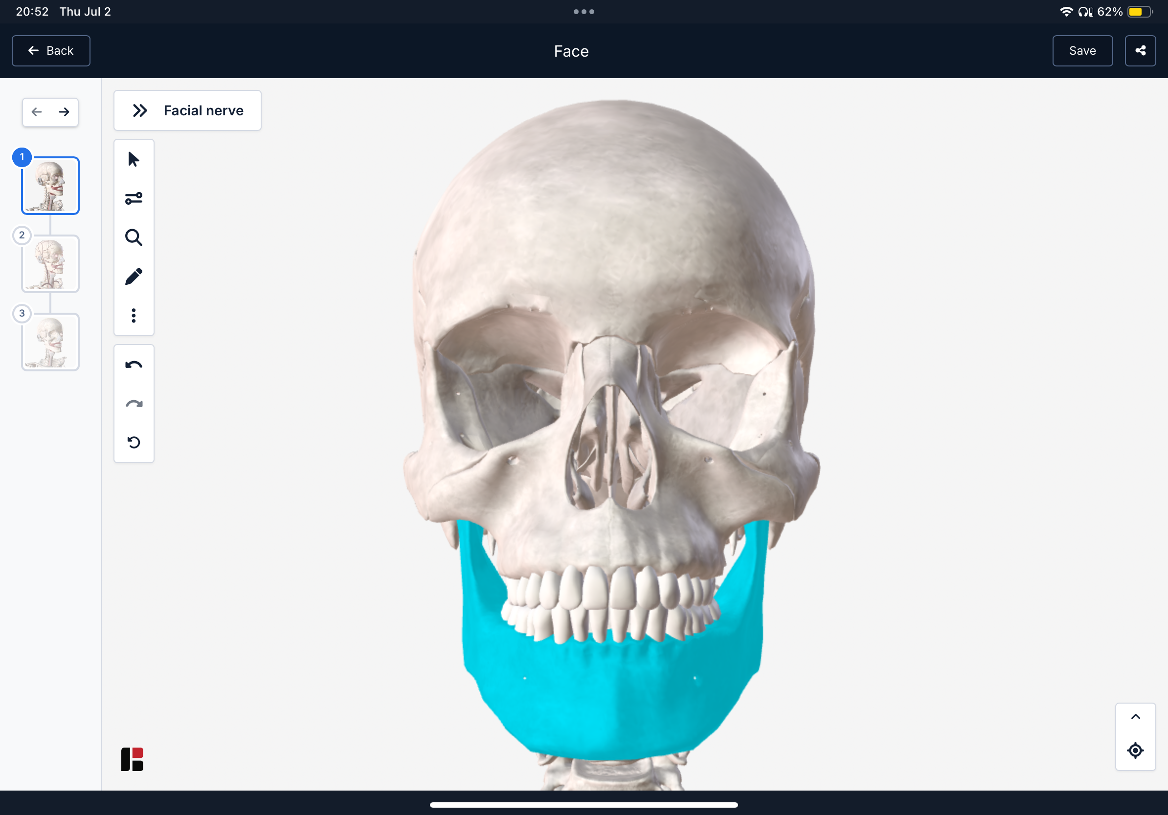 <p>mandible</p>