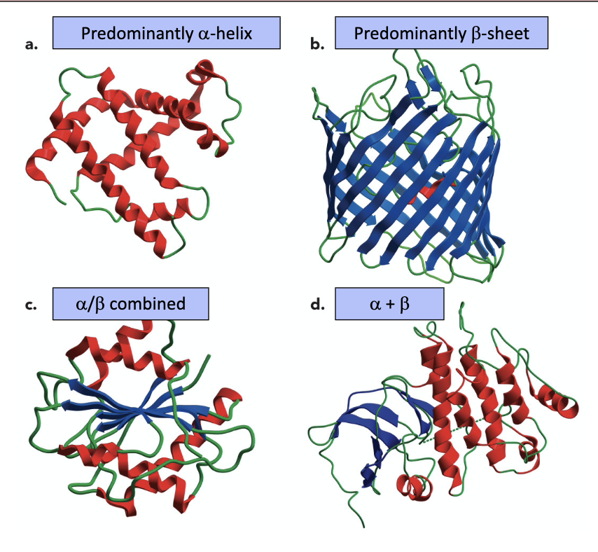 <p>1) Predominantly a-helix</p><p>2) Predominantly b-sheet</p><p>3) a/b combined</p><p>4) a + b</p>