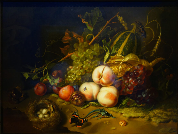 <p>Fruit and Insects</p>